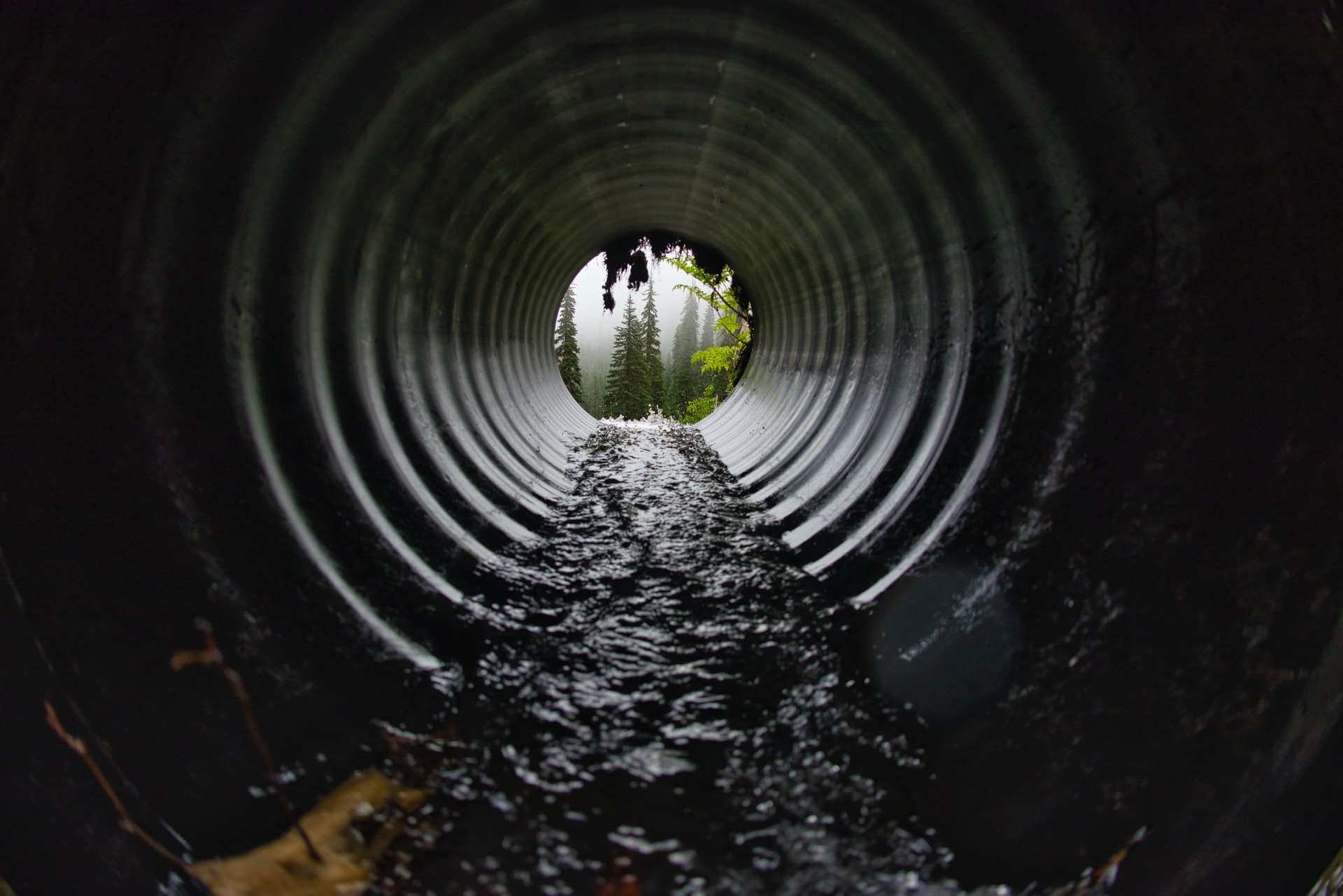 sanitary sewer services Arlington